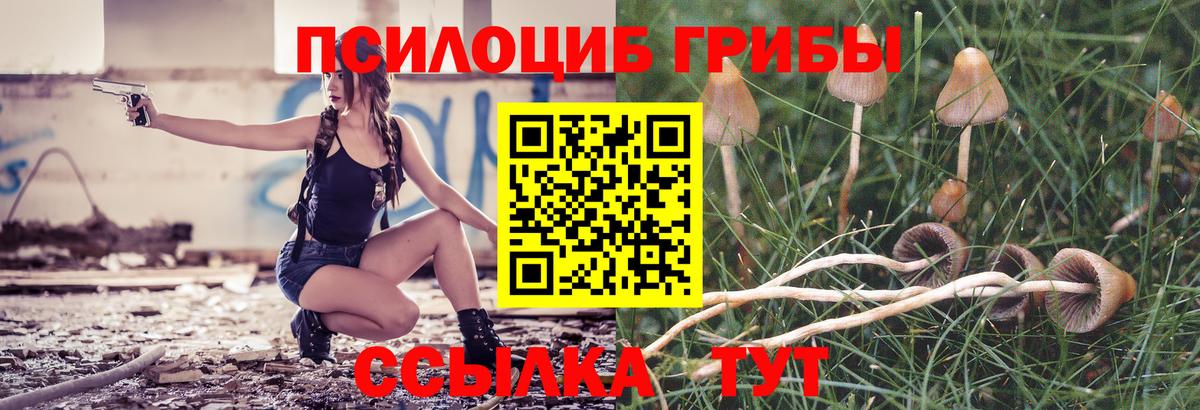 Галлюциногенные грибы Cubensis Юрга